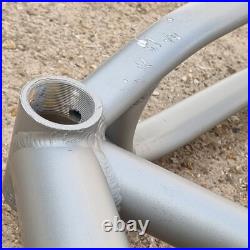 Pace RC303 Mountain bike frame XCM Aluminium tubing silver retro bike bicycle Pace RC303 Mountain bike frame XCM Aluminium tubing silver retro bike bicycle