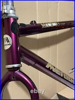 RARE 1993 Merida MATTS Comp 18.5/20 Hardtail MTB Mountain Bike Frame + Fork VGC