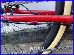 Raieigh M-TRAX Mountain Bike Steel Frame 1990s Reimagined Disk Brake Bikepacking