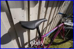 Raleigh Apex 1993 Vintage Retro 26 Mountain Bike 17 Frame Medium