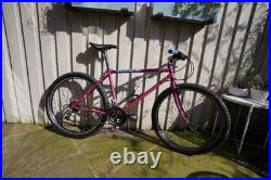 Raleigh Apex 1993 Vintage Retro 26 Mountain Bike 17 Frame Medium
