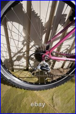 Raleigh Apex 1993 Vintage Retro 26 Mountain Bike 17 Frame Medium