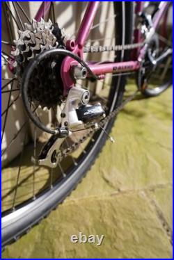 Raleigh Apex 1993 Vintage Retro 26 Mountain Bike 17 Frame Medium
