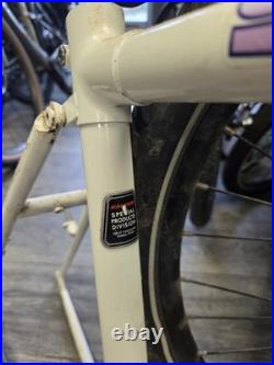 Raleigh Dyna Tech Frame Retro Mountain Bike Frame titanium