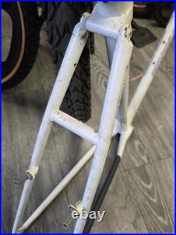 Raleigh Dyna Tech Frame Retro Mountain Bike Frame titanium