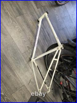 Raleigh Dyna Tech Frame Retro Mountain Bike Frame titanium