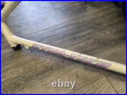 Raleigh Dyna Tech Frame Retro Mountain Bike Frame titanium