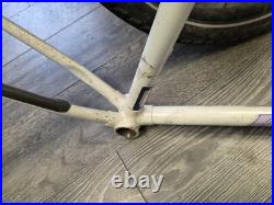 Raleigh Dyna Tech Frame Retro Mountain Bike Frame titanium