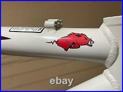 Rare EASTON USA 1999 K2 Razorback RSX-Mk1 18 XC Susp Mountain Bike Frame