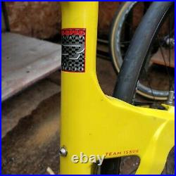 Rare Scott Endorphin Carbon Mountain Bike Frame 90s World Cup possible fixie