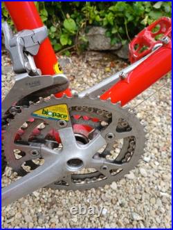 Rare vintage 1988 Muddy fox Courier tushingham frame