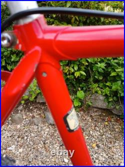 Rare vintage 1988 Muddy fox Courier tushingham frame