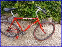 Rare vintage 1988 Muddy fox Courier tushingham frame