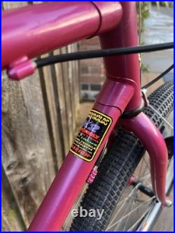 Retro 1990s Raleigh Apex'Reynolds K2' Mountain Bike 19 Frame, 26 Wheels