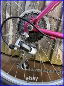 Retro 1990s Raleigh Apex'Reynolds K2' Mountain Bike 19 Frame, 26 Wheels