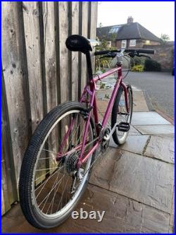 Retro 1990s Raleigh Apex'Reynolds K2' Mountain Bike 19 Frame, 26 Wheels