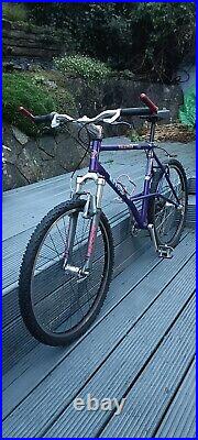 Retro 1991 Mountain Arrow Villager E Stay Frame Mountain Bike