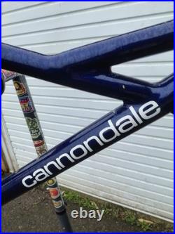 Retro 1993 Cannondale M2000 16 Aluminium MTB Frame