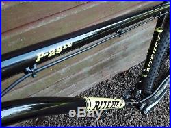Ritchey P29 Steel Frame 29er Custom Build 21 XL Excellent Condition