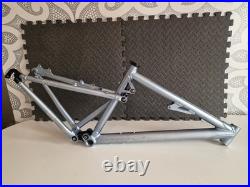Santa Cruz Blur 2003 Frame Vintage / Retro Santa Cruz Blur 2003 Frame Vintage / Retro