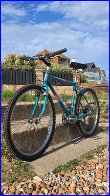 Specialized Hardrock 87' Retro 26 Wheels 18 Frame Needa A New Home