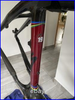 Specialized Stumpjumper Carbon Frame 19 Large 26 Carbon Damage Mountain Bike