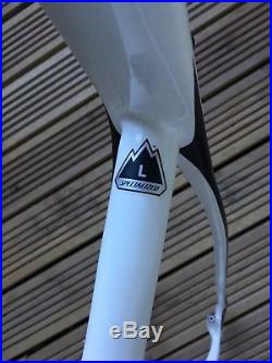 Specialized Stumpjumper Expert Carbon 29 Hardtail Frame, size large, white 2015