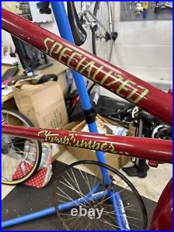 Specialized Stumpjumper Team Tange Prestige Steel Retro Bike Frame 90s RARE