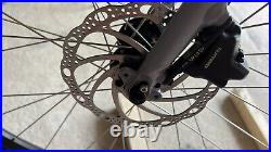Trek FX2 Disc Brake Hybrid Bike / Cycle (Mint) / LARGE Frame + Bike Pump