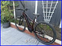 Trek Powerfly 5 Electric Mountain Bike-Small Frame