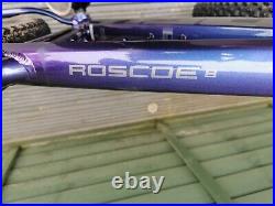 Trek Roscoe 8 2020 Womens Hardtail Mountain Bike Medium Frame
