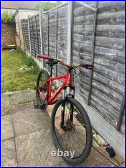 Turbo 29 Inch Mountain Bike Large Frame