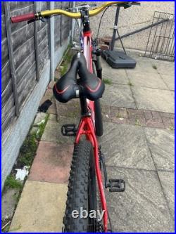 Turbo 29 Inch Mountain Bike Large Frame