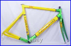 Vintage Greg Lemond Maillot Jaune 56cm Road Bike Frame 700c Time Carbon Fork