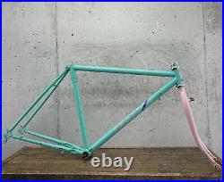 Vintage ROSS Frame Set Miami Vice Colorway 19 22 CRMO 80s MTB Roller Cam