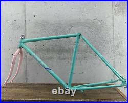 Vintage ROSS Frame Set Miami Vice Colorway 19 22 CRMO 80s MTB Roller Cam