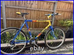 Vintage Raleigh Mountain Bike 26inch wheels 21inch frame (fully serviced)