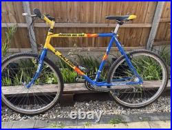 Vintage Raleigh Mountain Bike 26inch wheels 21inch frame (fully serviced)