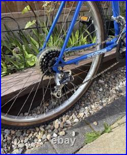 Vintage Raleigh Mountain Bike 26inch wheels 21inch frame (fully serviced)