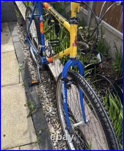 Vintage Raleigh Mountain Bike 26inch wheels 21inch frame (fully serviced)