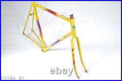 Vintage Rossin Performance Bicycle Frameset 58 cm Steel Classic Road Bike NOS